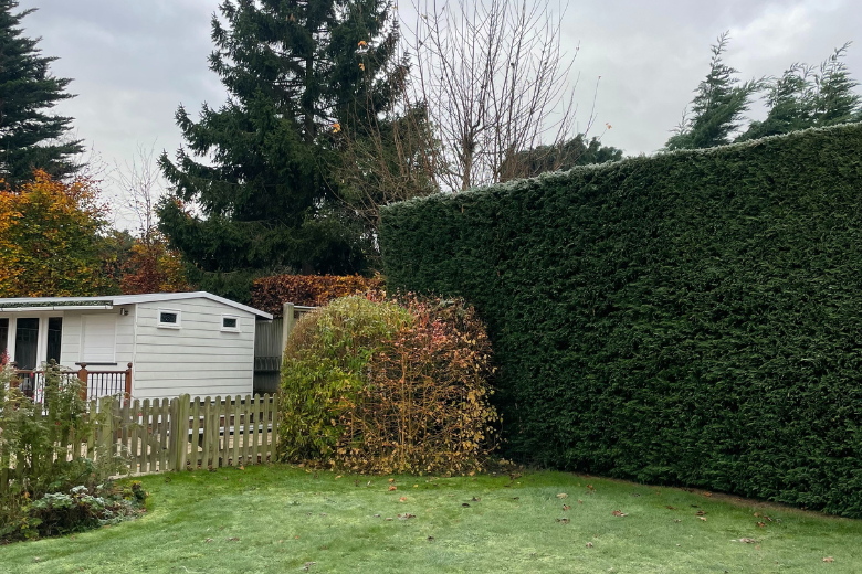 Hilarie, Tonbridge - Before